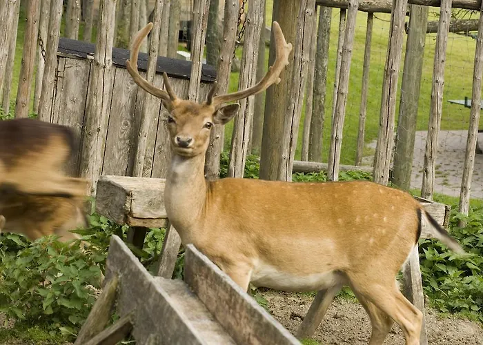 Alloggio per agriturismo Walcherhof Ramsau am Dachstein